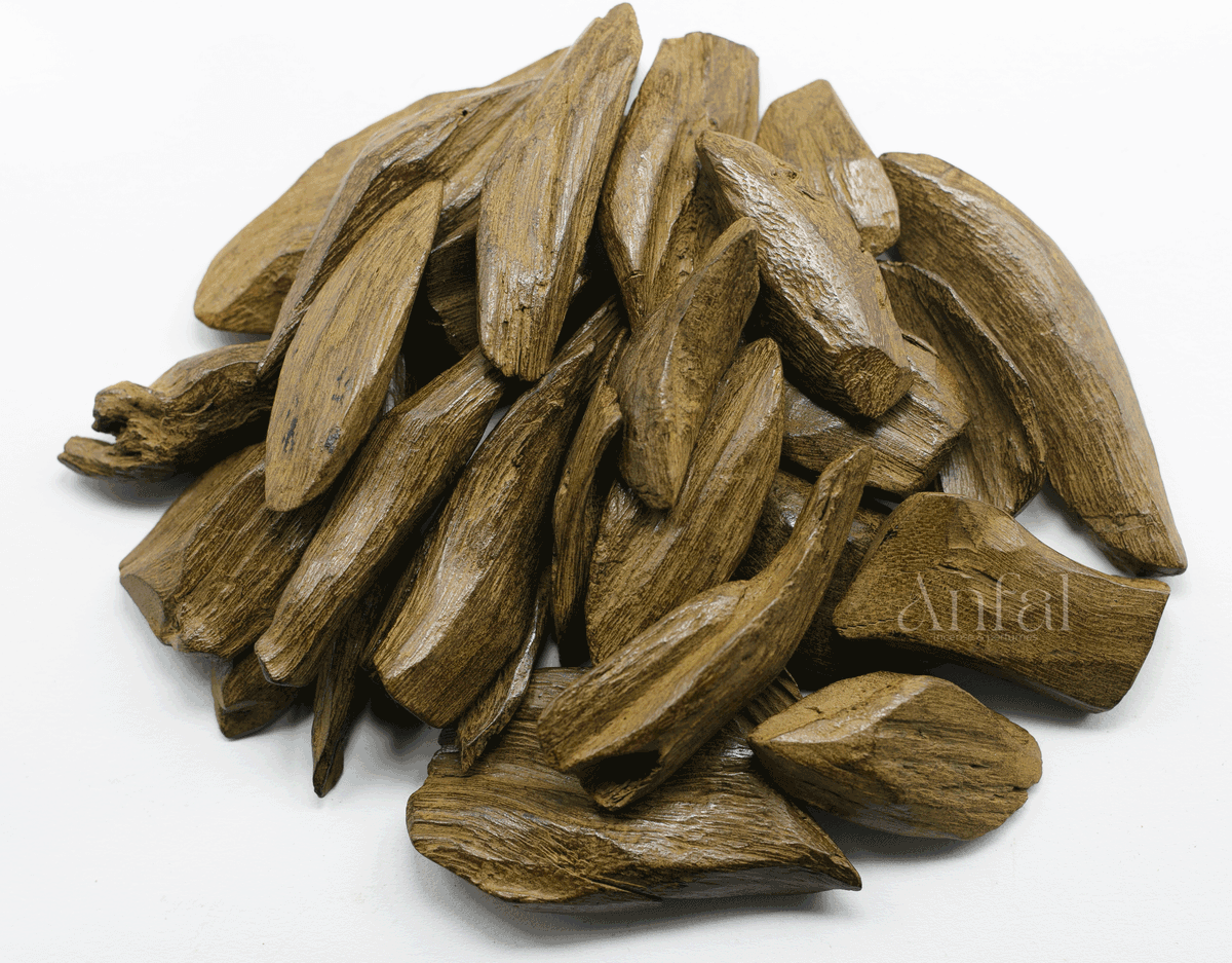 مروكي محسن