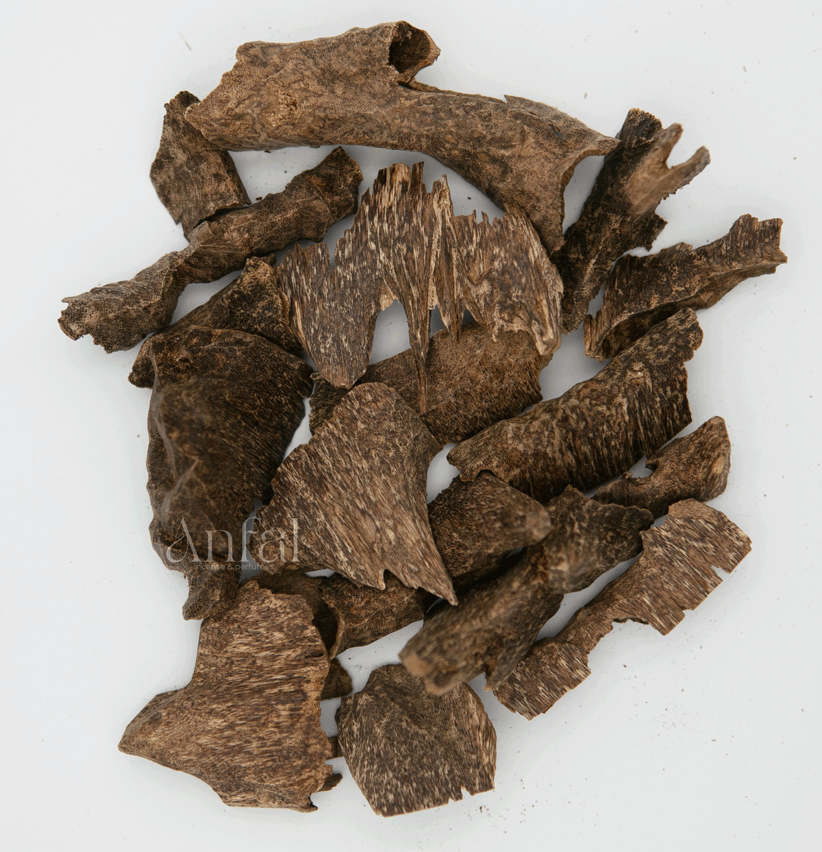 زوايا ترابي